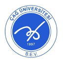 Cag University Logo